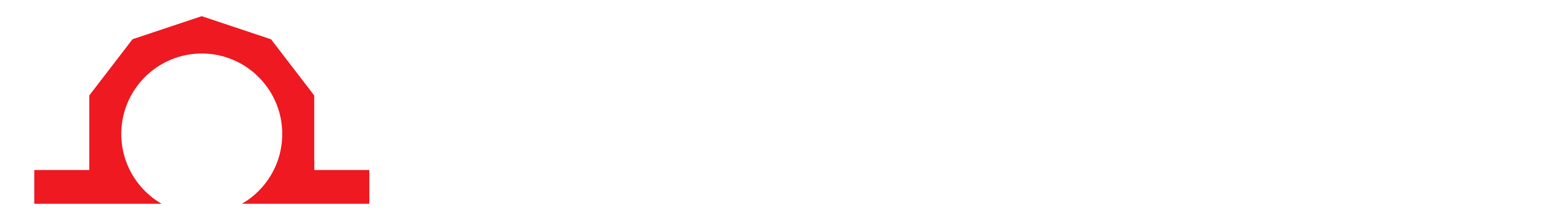 Precision Omega logo